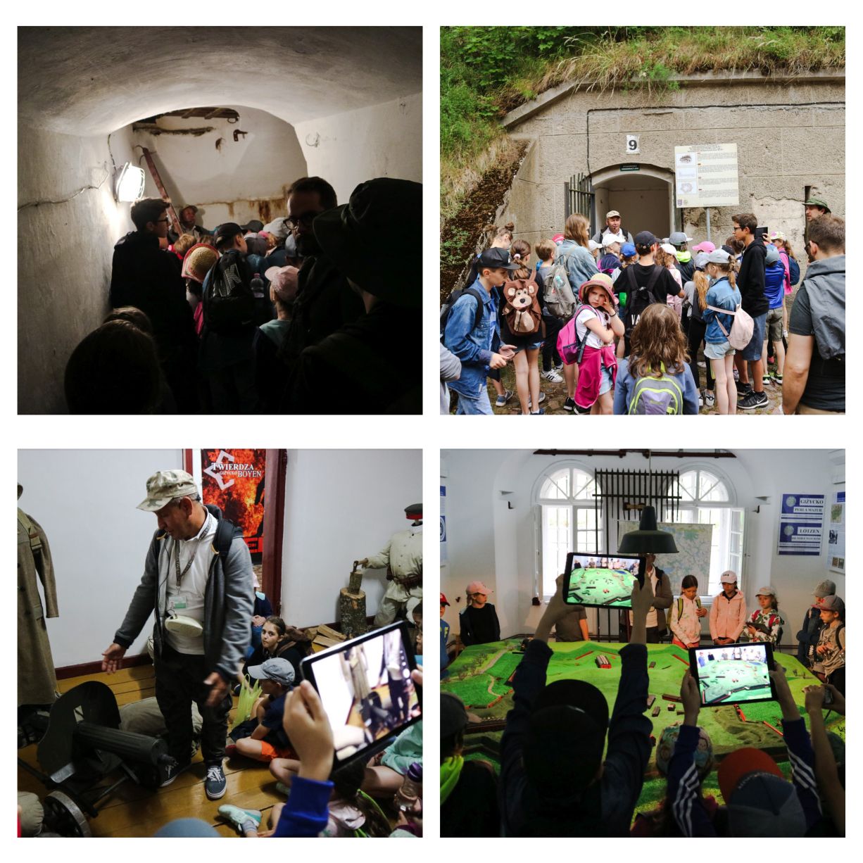 collage 1.jpg